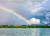 Enjeux majeurs pour les écologistes : l&rsquo;essentiel à comprendre en 2025