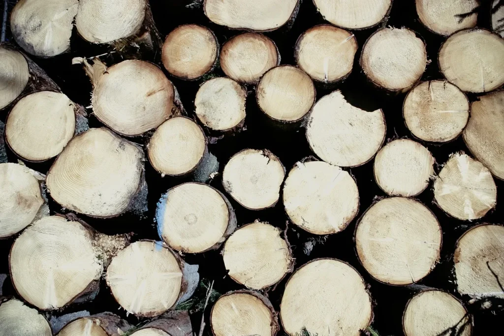 5 façons de réduire les déchets dans la décoration