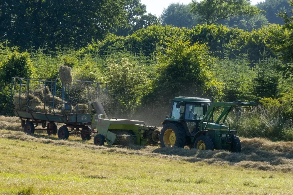 Consommation responsable dans le secteur automobile
