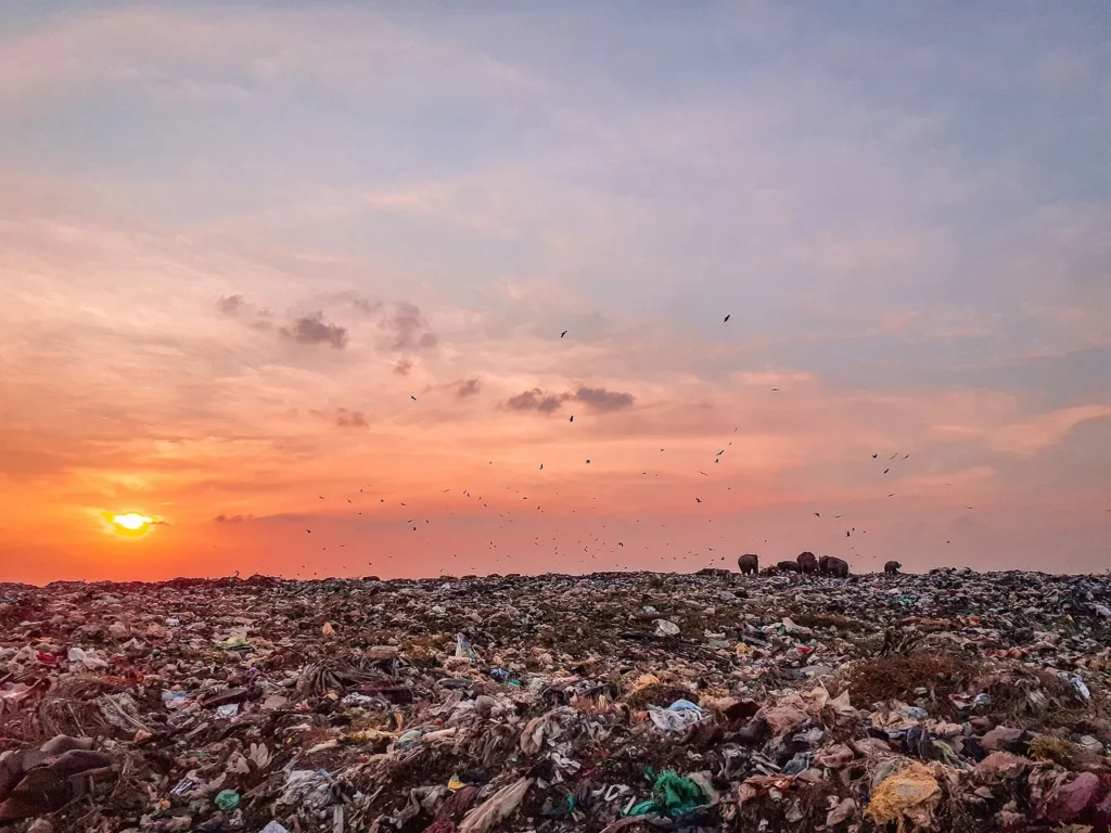 5 façons d'utiliser la technologie pour réduire les déchets